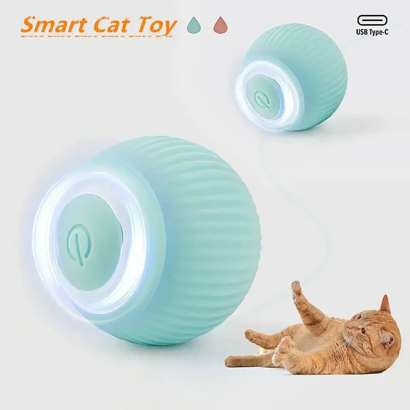 Bola de Movimento para Gatos